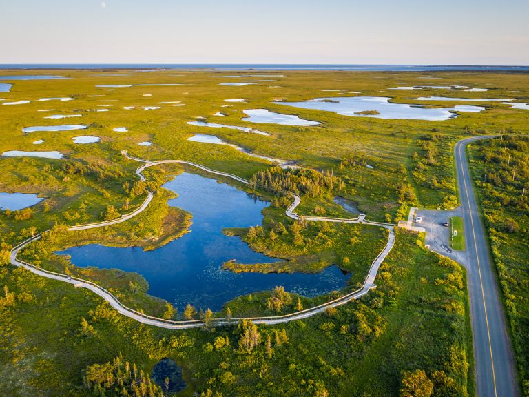 About Miscou Tourisme Péninsule acadienne