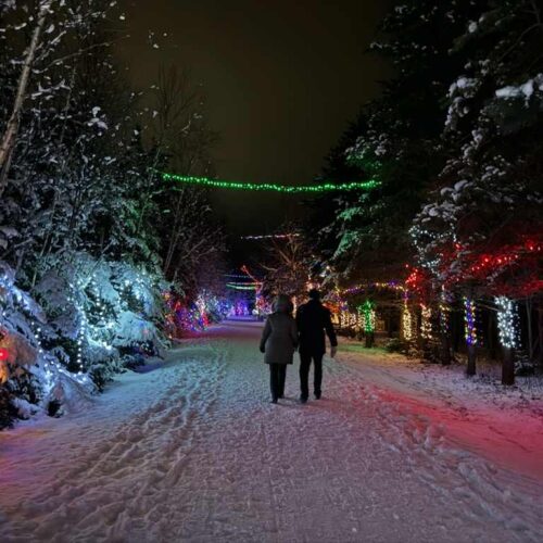 410360351_699169392327874_4762503613044152009_n